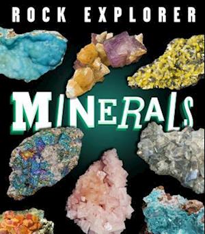 Cover for Claudia Martin · Minerals (Book) (2018)