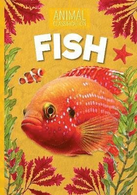 Cover for Steffi Cavell-Clarke · Fish - Animal Classification (Paperback Bog) (2019)