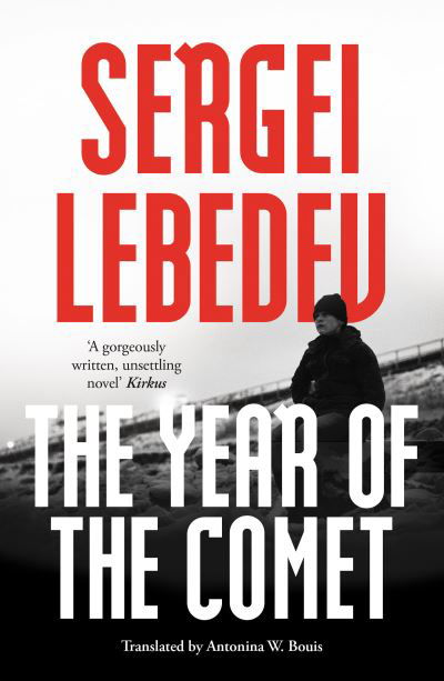 Cover for Sergei Lebedev · The Year of the Comet (Paperback Book) (2022)