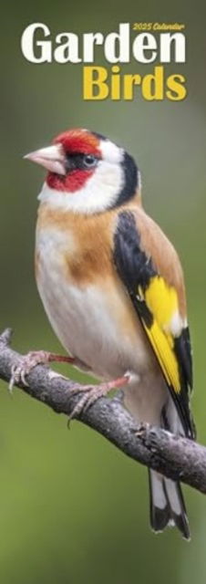 Garden Birds Slim Calendar 2025 Bird Slimline Calendar - 12 Month - - Gadżety - Avonside Publishing Ltd - 9781804605240 - 1 lipca 2024