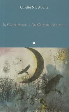 Cover for Colette nic Aodha · In Castlewood: An Ghaoth Aduaidh (Taschenbuch) (2012)