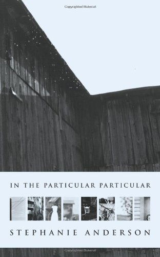 Cover for Stephanie Anderson · In the Particular Particular (Paperback Book) (2010)