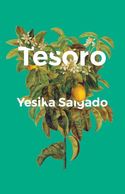 Cover for Yesika Salgado · Tesoro (Gebundenes Buch) (2018)