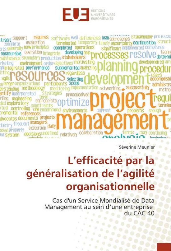 Cover for Meunier · L'efficacité par la généralisat (Book)