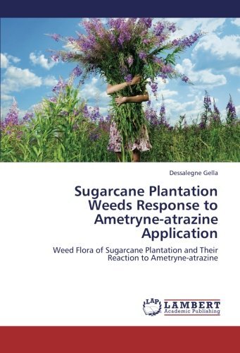 Cover for Dessalegne Gella · Sugarcane Plantation Weeds Response to Ametryne-atrazine Application: Weed Flora of Sugarcane Plantation and Their Reaction to Ametryne-atrazine (Paperback Bog) (2012)