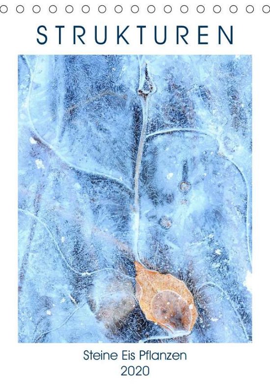 Cover for Baier · Strukturen - Steine, Eis, Pflanze (Bog)