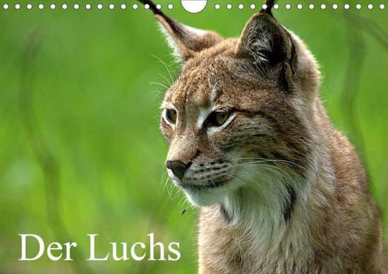 Cover for Klatt · Der Luchs / Geburtstagskalender ( (Book)