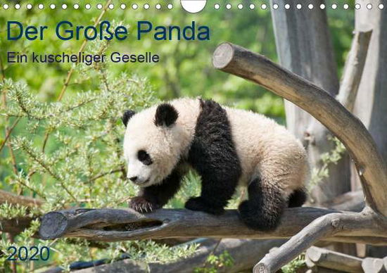 Cover for Selection · Der Große Panda Ein kuschelig (Bog)