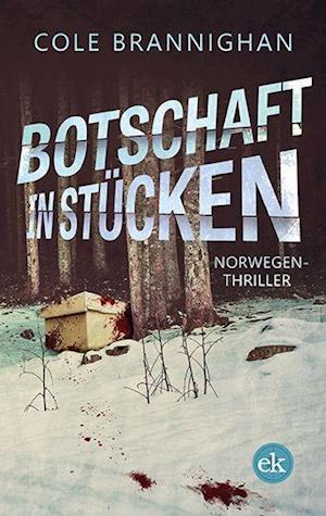 Cover for Cole Brannighan · Botschaft in Stücken (Paperback Book) (2021)