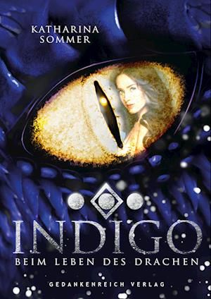 Indigo - Katharina Sommer - Książki - GedankenReich Verlag - 9783987920240 - 26 czerwca 2023