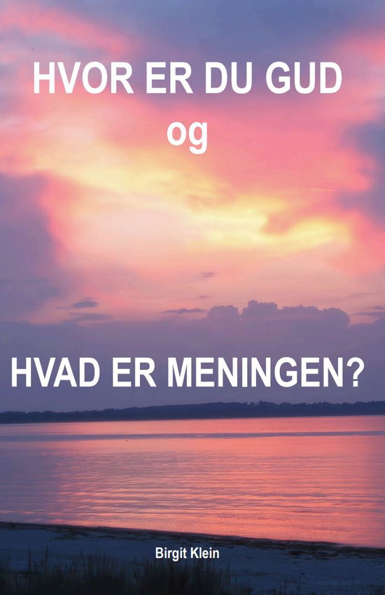 Cover for Birgit Klein · &quot;Hvor er Du Gud og Hvad er Meningen?&quot; (Paperback Book) [1. wydanie] (2024)