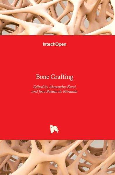 Cover for Alessandro Rozim Zorzi · Bone Grafting (Hardcover Book) (2012)