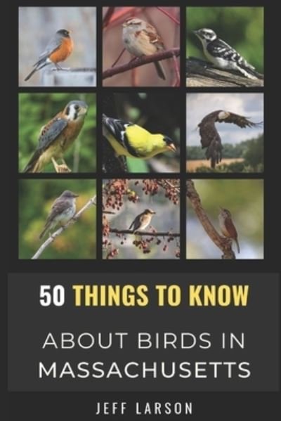 50 Things to Know About Birds in Massachusetts: Birding in the Bay State - 50 Things to Know about Birds- United States - Jeff Larson - Böcker - Independently Published - 9798541360240 - 21 juli 2021