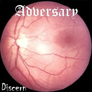 Cover for Adversary · Discern (CD) (2002)