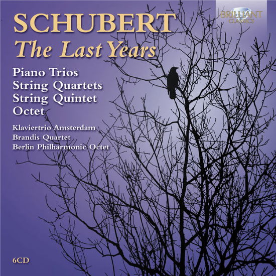 Last Years - Franz Schubert - Muziek - BRILLIANT CLASSICS - 5028421944241 - 29 januari 2013