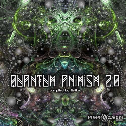 Quantum Animism 2.0 - Quantum Animism 2.0 / Various - Music - PURPLE HEXAGON - 5060376222241 - May 27, 2016