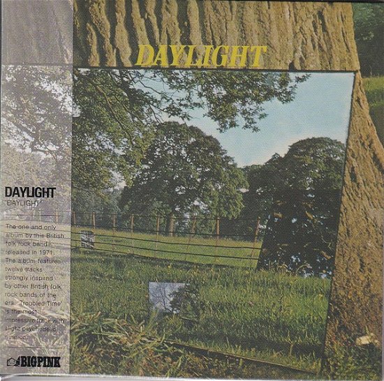 Cover for Daylight · Daylight Bridge (CD) (2021)
