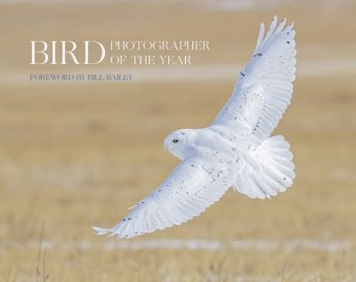 Cover for Bird Photographer of the Year · Bird Photographer of the Year: Collection 6 - Bird Photographer of the Year (Gebundenes Buch) (2021)