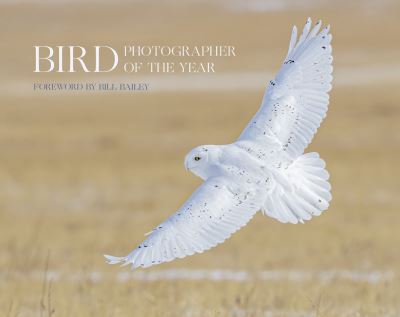 Bird Photographer of the Year: Collection 6 - Bird Photographer of the Year - Bird Photographer of the Year - Boeken - HarperCollins Publishers - 9780008496241 - 16 september 2021