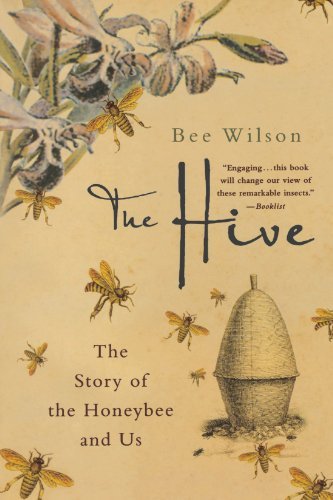 Cover for Bee Wilson · The Hive: the Story of the Honeybee and Us (Pocketbok) [First edition] (2000)