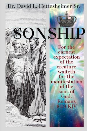 Cover for David Hettesheimer · Sonship (Book) (2018)