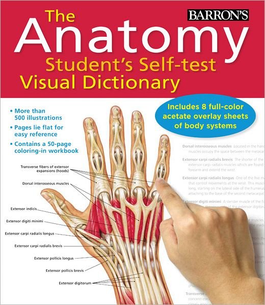The Anatomy Student's Self-test Visual Dictionary: an All-in-one Anatomy Reference and Study Aid - Ken Ashwell - Kirjat - Barron\'s Educational Series - 9780764147241 - lauantai 1. lokakuuta 2011