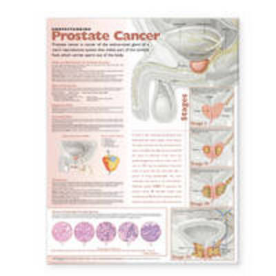 Cover for Acc · Understanding Prostate Cancer Paper (N/A)