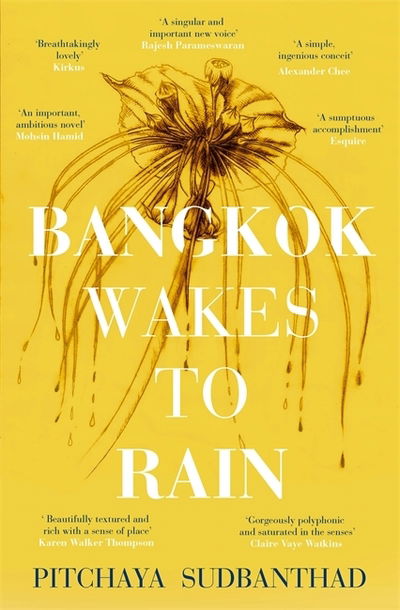 Cover for Pitchaya Sudbanthad · Bangkok Wakes to Rain: Shortlisted for the 2020 Edward Stanford 'Fiction with a Sense of Place' award (Paperback Book) (2019)