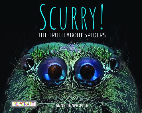 Scurry! the Truth about Spiders (Book #3) - Annette Whipple - Książki - Reycraft Books - 9781478870241 - 13 grudnia 1901