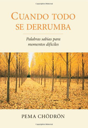 Cuando Todo Se Derrumba (When Things Fall Apart): Palabras Sabias Para Momentos Dificiles - Pema Chodron - Boeken - Shambhala Espanol - 9781611800241 - 11 september 2012