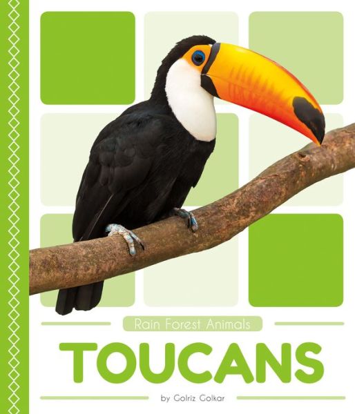 Cover for Golriz Golkar · Rain Forest Animals: Toucans (Paperback Book) (2018)