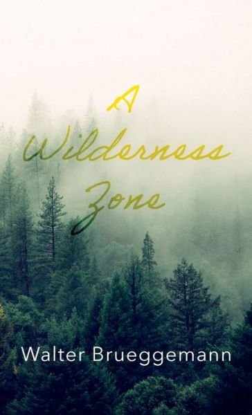 Cover for Walter Brueggemann · A Wilderness Zone (Hardcover Book) (2021)