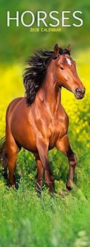 Cover for Horses Slim Calendar 2026  Horses Slimline Calendar - 12 Month (Calendar) (2025)
