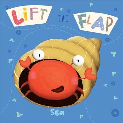 Cover for Kirsty Taylor · Lift-the-flap Farm - Lift-the-flap (Board book) (2022)