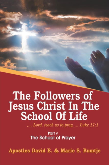 Cover for Apostles David E · The Followers of Jesus Christ in the School of Life (Paperback Book) (2018)