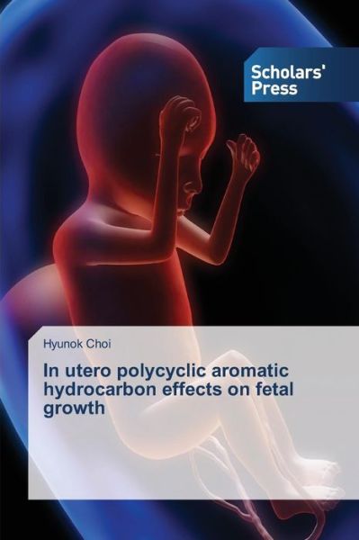 In utero polycyclic aromatic hydro - Choi - Books -  - 9783639516241 - December 20, 2013