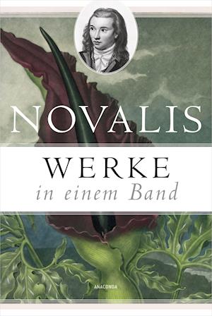 Cover for Novalis · Werke in einem Band (Gebundenes Buch) (2022)