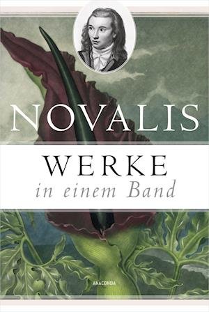 Cover for Novalis · Werke in einem Band (Hardcover Book) (2022)