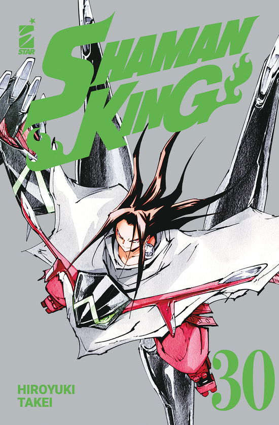 Cover for Hiroyuki Takei · Shaman King. Final Edition #30 (Book)