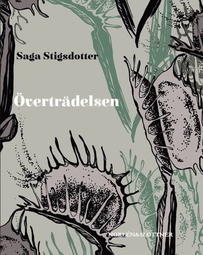 Cover for Saga Stigsdotter · Överträdelsen (Map) (2023)