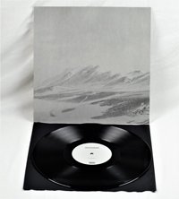 Cover for Vinterkult &amp; Nordgeist · Split-Nordwinter (LP) [Limited, 180 gram edition] (2019)