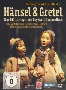 Cover for Hansel &amp; Gretel (DVD) (2012)