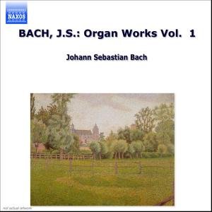 * Orgelwerke Vol.1 - Wolfgang Rübsam - Música - Naxos - 4891030050242 - 1997