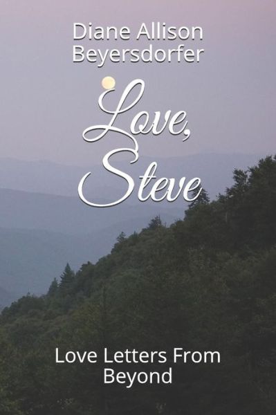 Cover for Diane Allison Beyersdorfer · Love, Steve (Pocketbok) (2019)