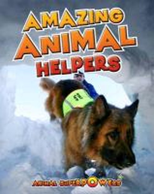 Cover for John Townsend · Amazing Animal Helpers - Animal Superpowers (Paperback Book) (2013)