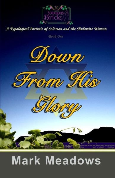 Down from His Glory: Solomon's Bride Volume One - Mark Meadows - Kirjat - CreateSpace Independent Publishing Platf - 9781453797242 - lauantai 5. maaliskuuta 2011