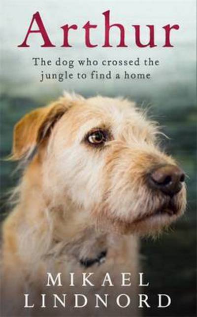 Arthur: The dog who crossed the jungle to find a home - Mikael Lindnord - Książki - Hodder & Stoughton General Division - 9781473625242 - 19 maja 2016