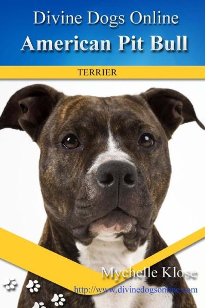 Cover for Mychelle M Klose · American Pit Bull Terriers (Paperback Book) (2013)