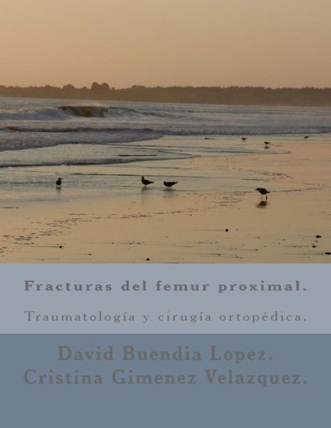 Cover for D David Buendia Lopez · Fracturas Del Femur Proximal. (Pocketbok) (2015)