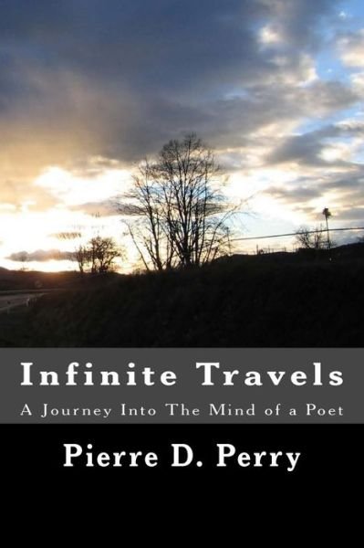 Cover for Pierre D Perry · Infinite Travels (Paperback Book) (2015)